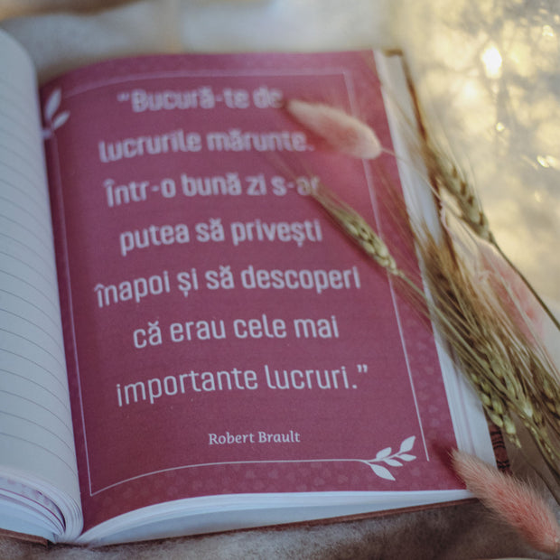 Citat din Jurnalul de Amintiri „Bunico, povestește-mi despre tine” – un cadou plin de emoție.